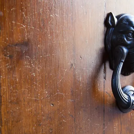 Vatican Leone Iv 2* 로마